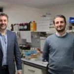 Fundación Vithas participa en un estudio que halla tipos de comportamiento celular capaces de predecir la enfermedad cardiovascular